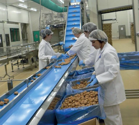 1 מפעל טבעול מבפנים.webp