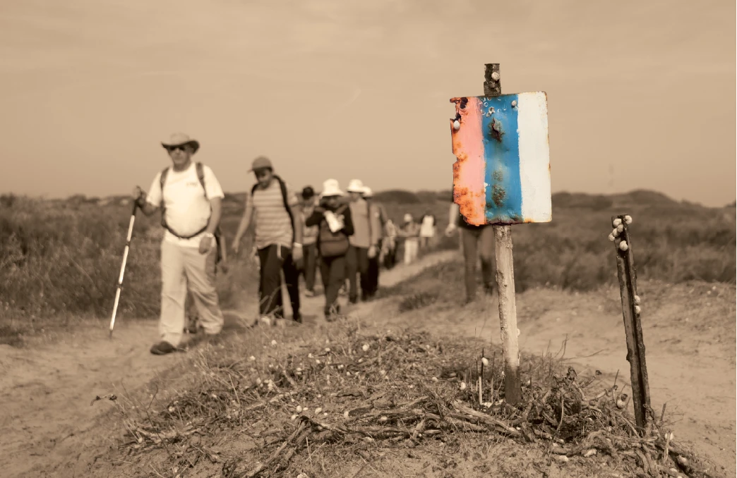 קל להתהלך בארץ