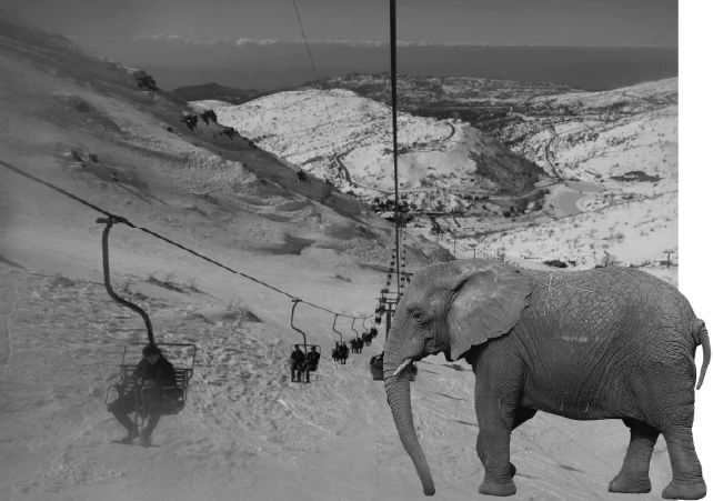 למה להרחיק עד שוויץ ואפריקה?