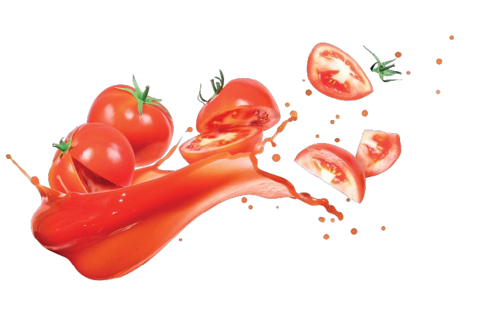 80s-tomatos-02.webp