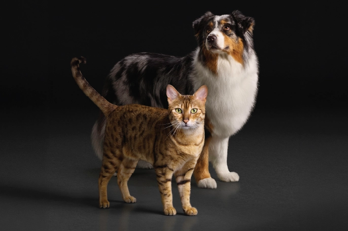 90s-Purina-pets-02.webp