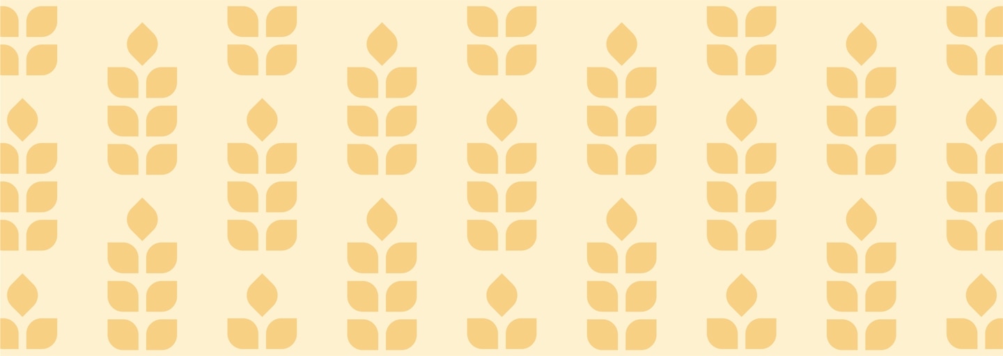 תעסוקת אנשים עם מוגבלויות